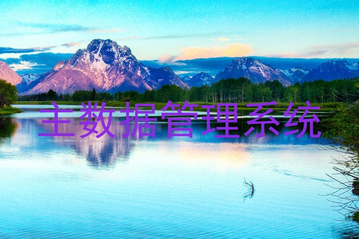 主数据管理系统