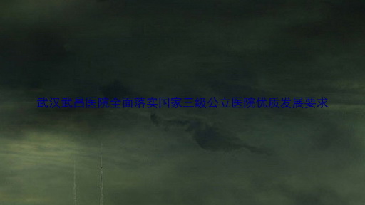 武汉武昌医院全面落实国家三级公立医院优质发展要求