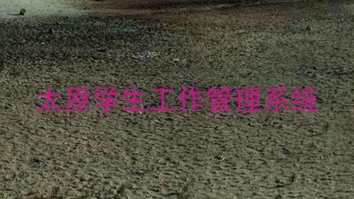 太原学生工作管理系统