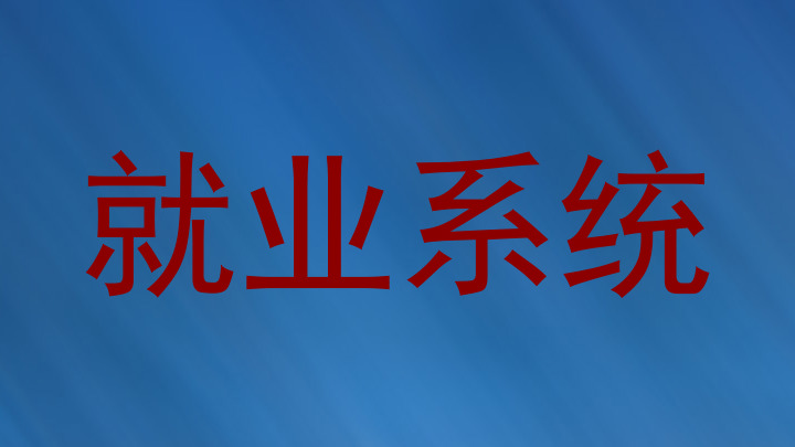 就业系统