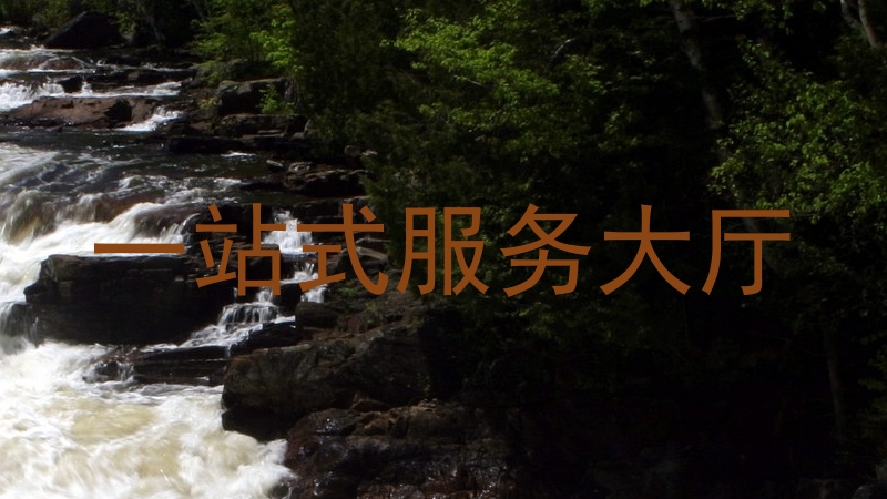 一站式服务大厅
