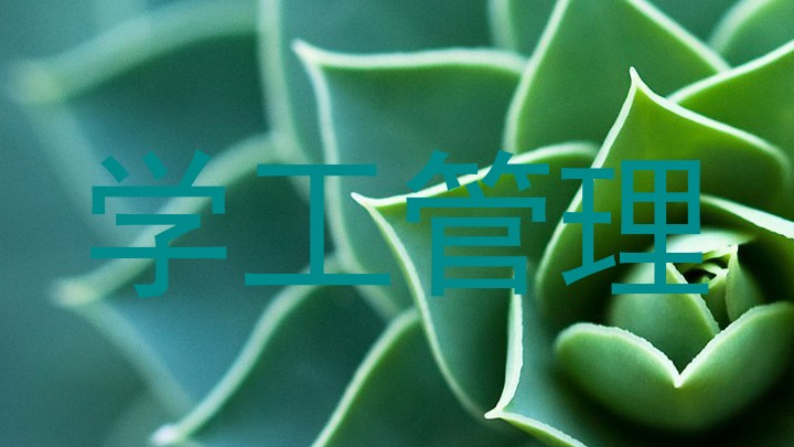 学工管理