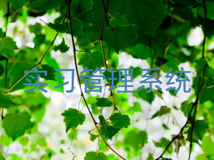 实习管理系统