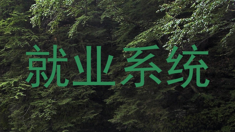 就业系统