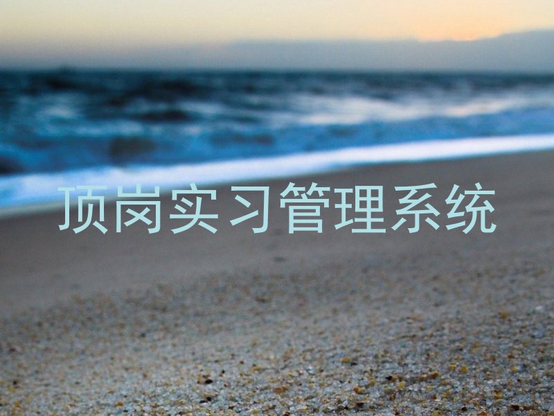 顶岗实习管理系统