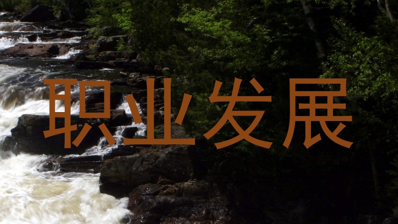 职业发展