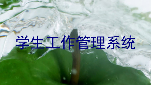 学生工作管理系统