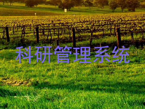 科研管理系统