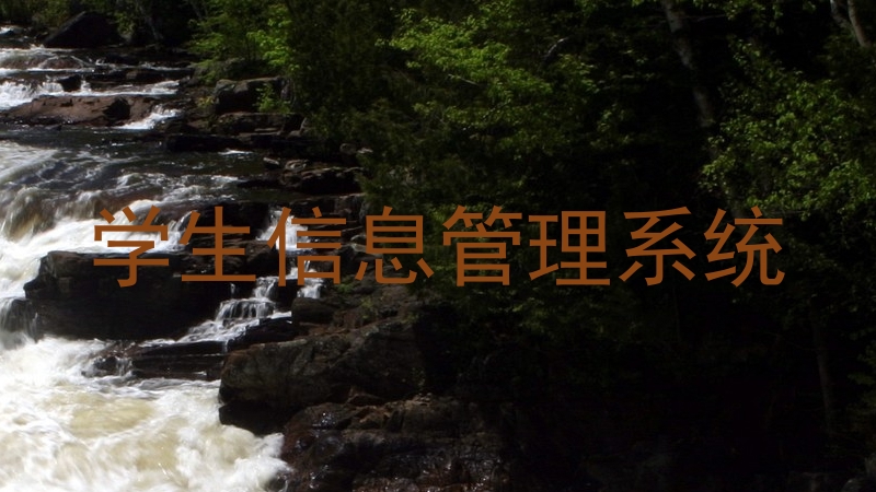 学生信息管理系统