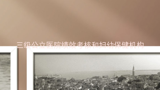 三级公立医院绩效考核和妇幼保健机构