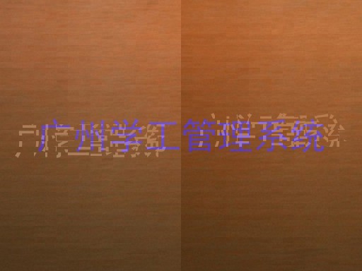 广州学工管理系统