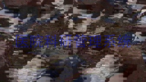 医院科研管理系统