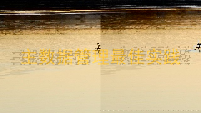主数据管理最佳实践