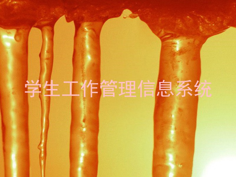 学生工作管理信息系统