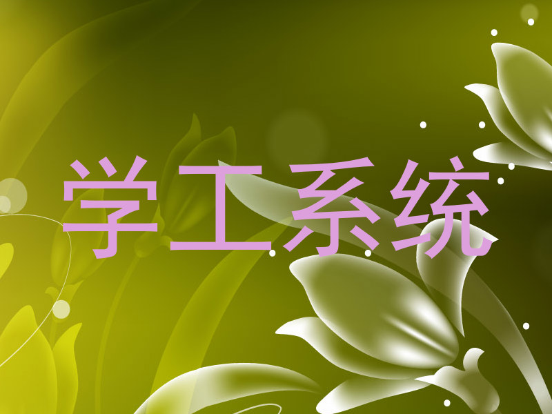 学工系统