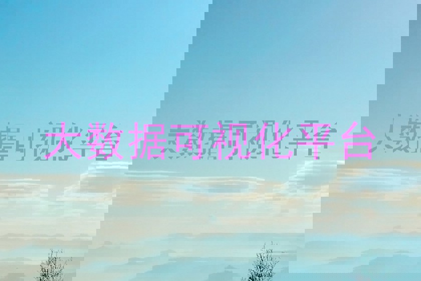 大数据可视化平台
