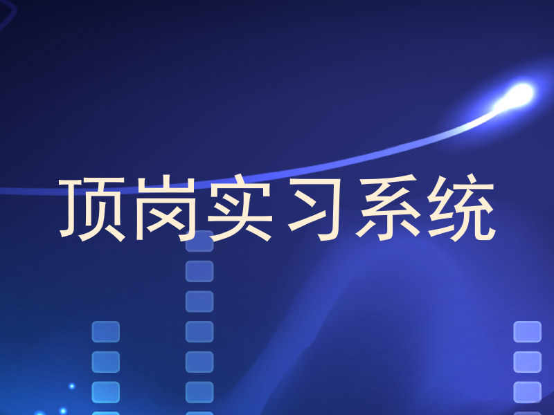 顶岗实习系统