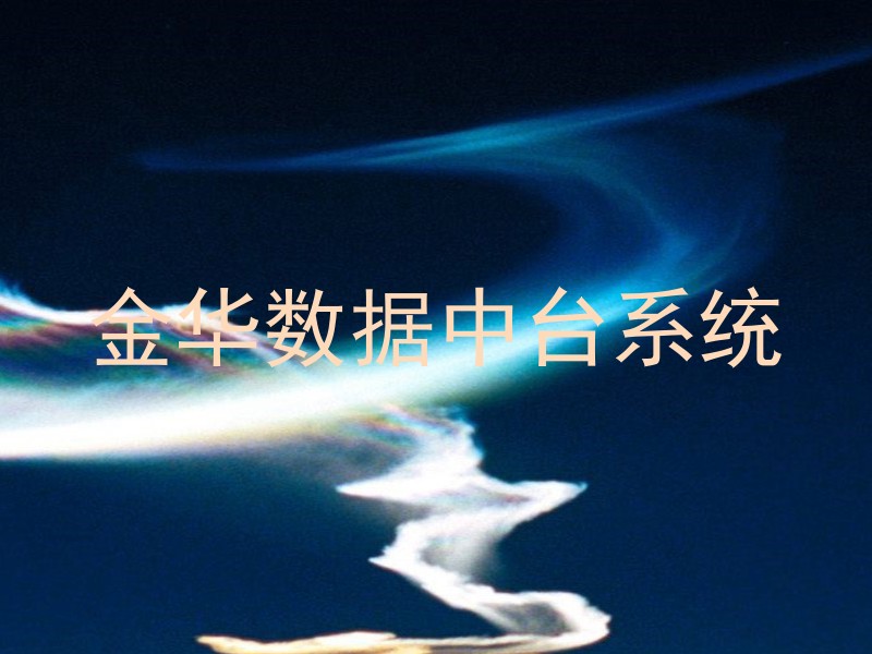 金华数据中台系统