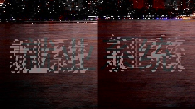就业系统