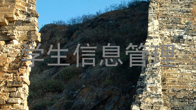 学生信息管理