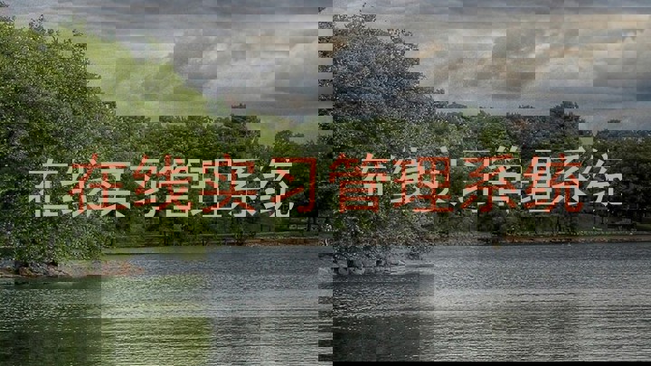 在线实习管理系统