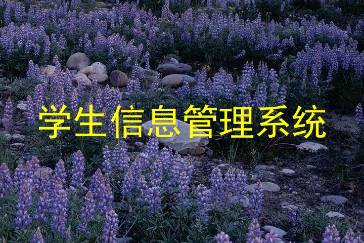学生信息管理系统