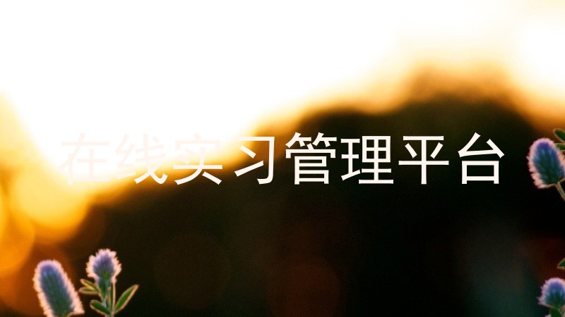 在线实习管理平台