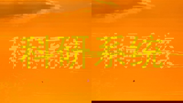 科研系统