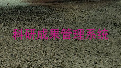 科研成果管理系统
