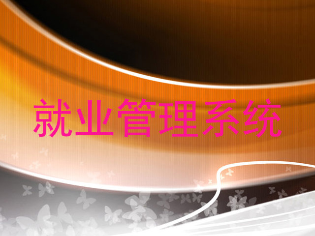 就业管理系统