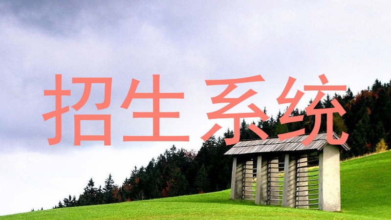 招生系统