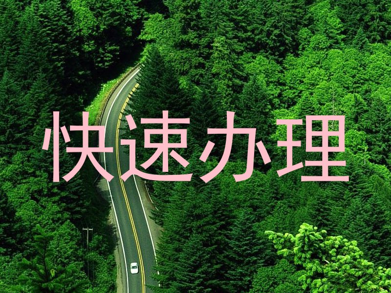 快速办理