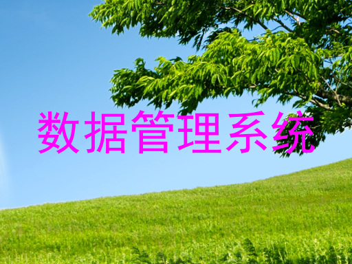 数据管理系统
