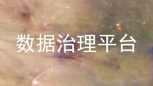 数据治理平台