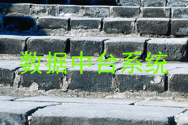 数据中台系统