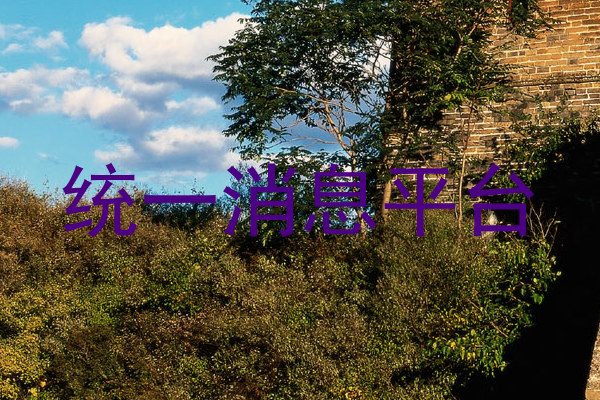 統(tǒng)一消息平臺