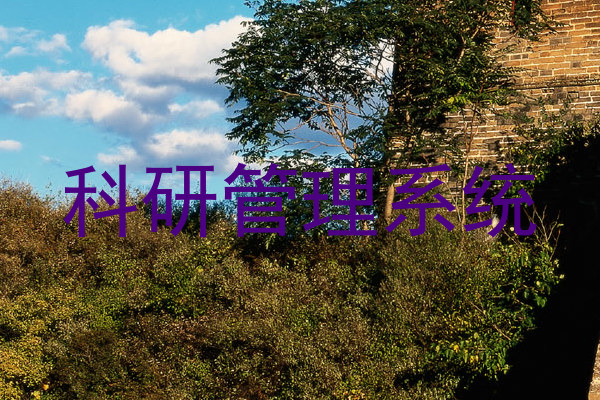 科研信息管理系统