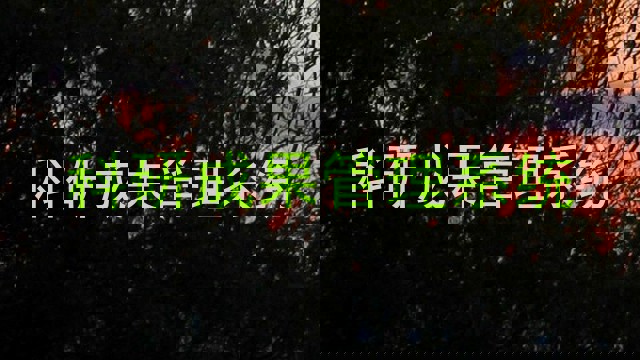 科研成果管理系统