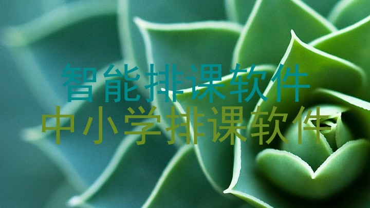 智能排课软件|中小学排课软件