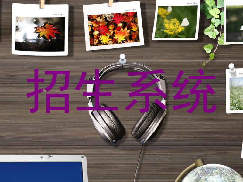 招生系统