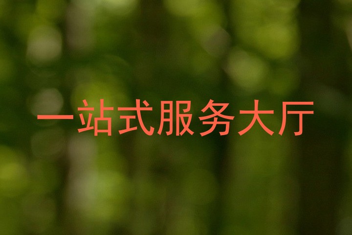 一站式服务大厅