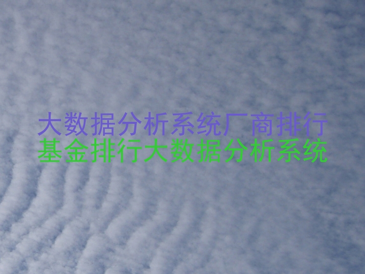 大数据分析系统厂商排行