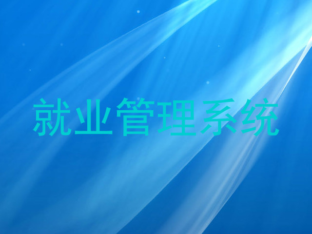 就业管理系统