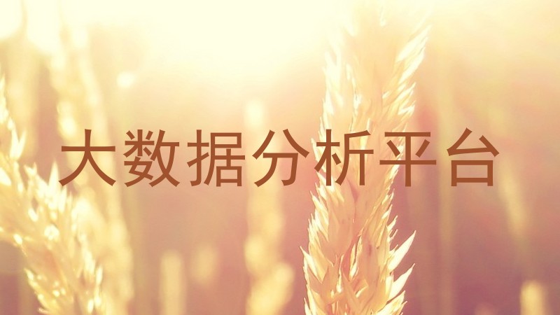 大数据分析平台