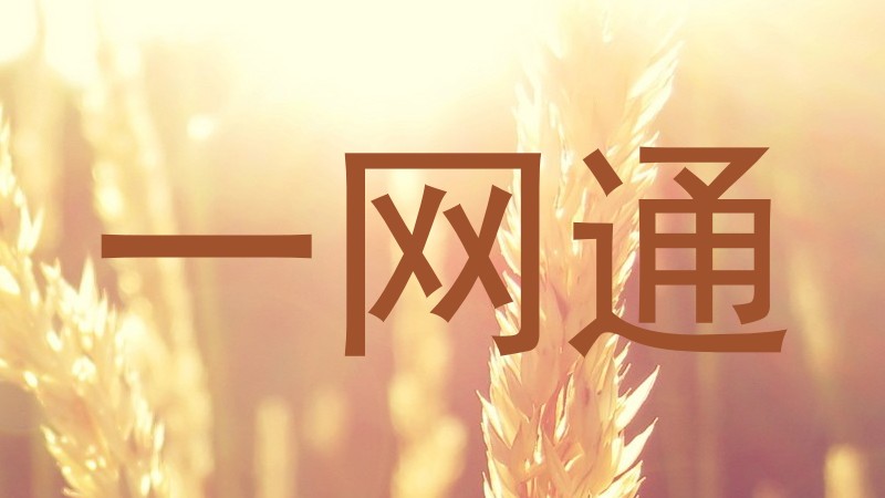 一网通