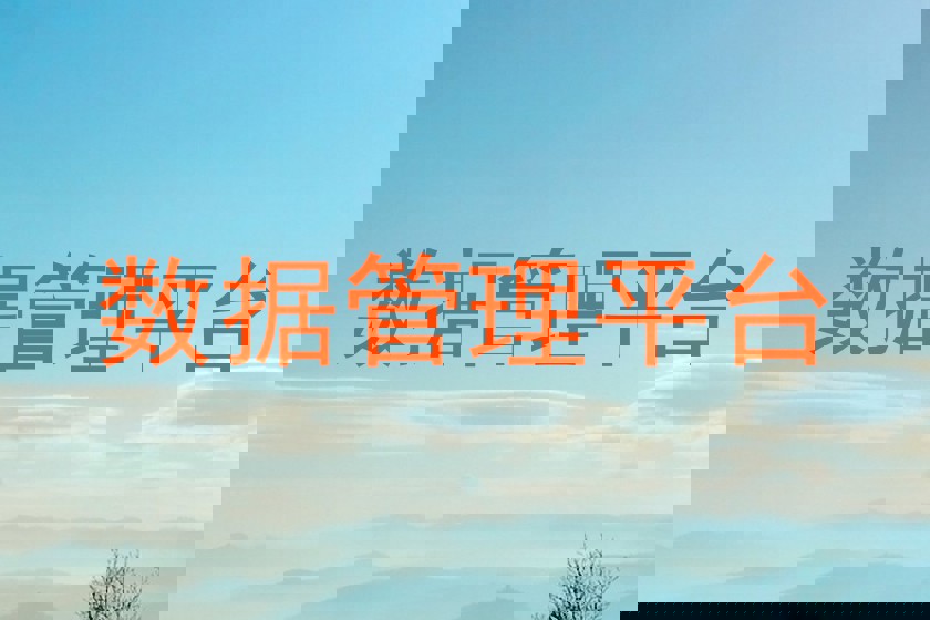 数据管理平台