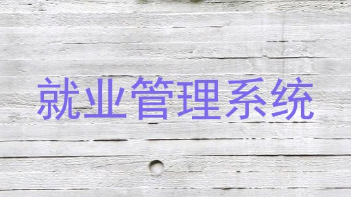 就业管理系统