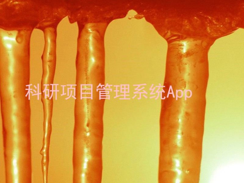 科研项目管理系统App