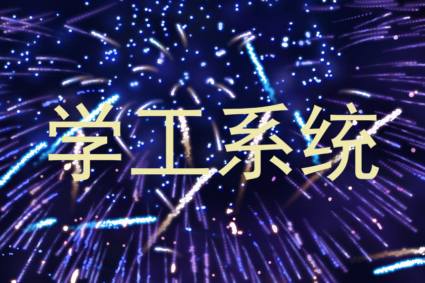 学工系统