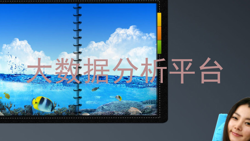 大数据分析平台